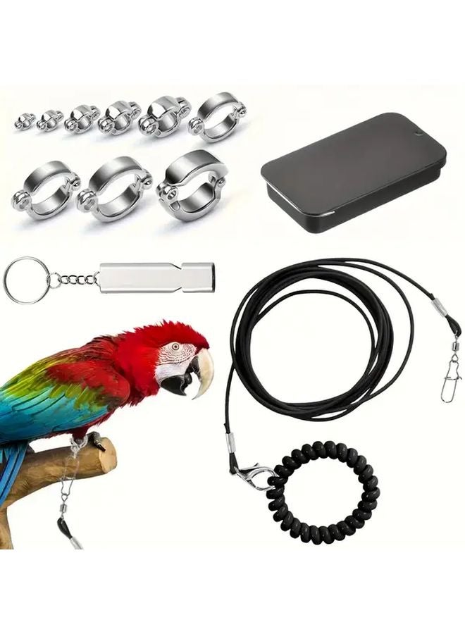 Black Parrot Outdoor Training Leash Set With Whistle Leg Rings Feeder 12pcs - Image 1